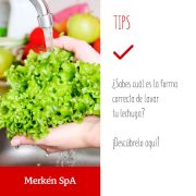 tips lechuga