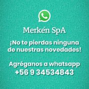 whatsapp1